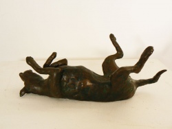 daisy-2nd-view.jpg